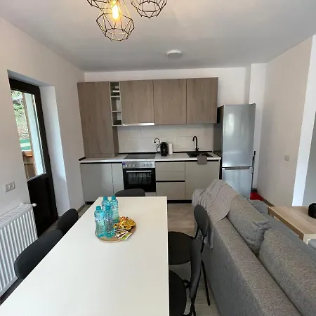 Cosy&Minimalistic Apartments - Haret Building Sinaia Esterno foto