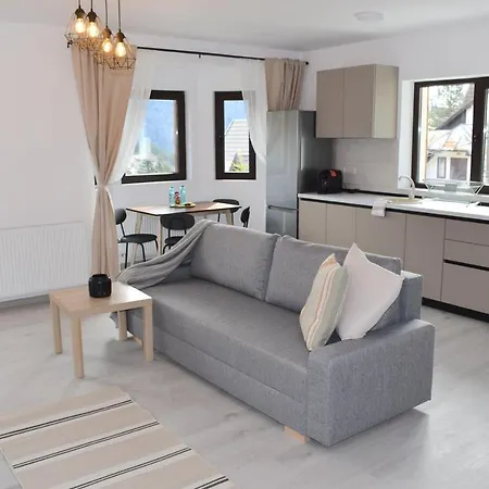 Cosy&Minimalistic Apartments - Haret Building Sinaia Esterno foto