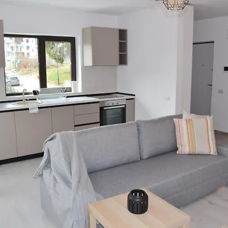 Cosy&Minimalistic Apartments - Haret Building Sinaia Esterno foto
