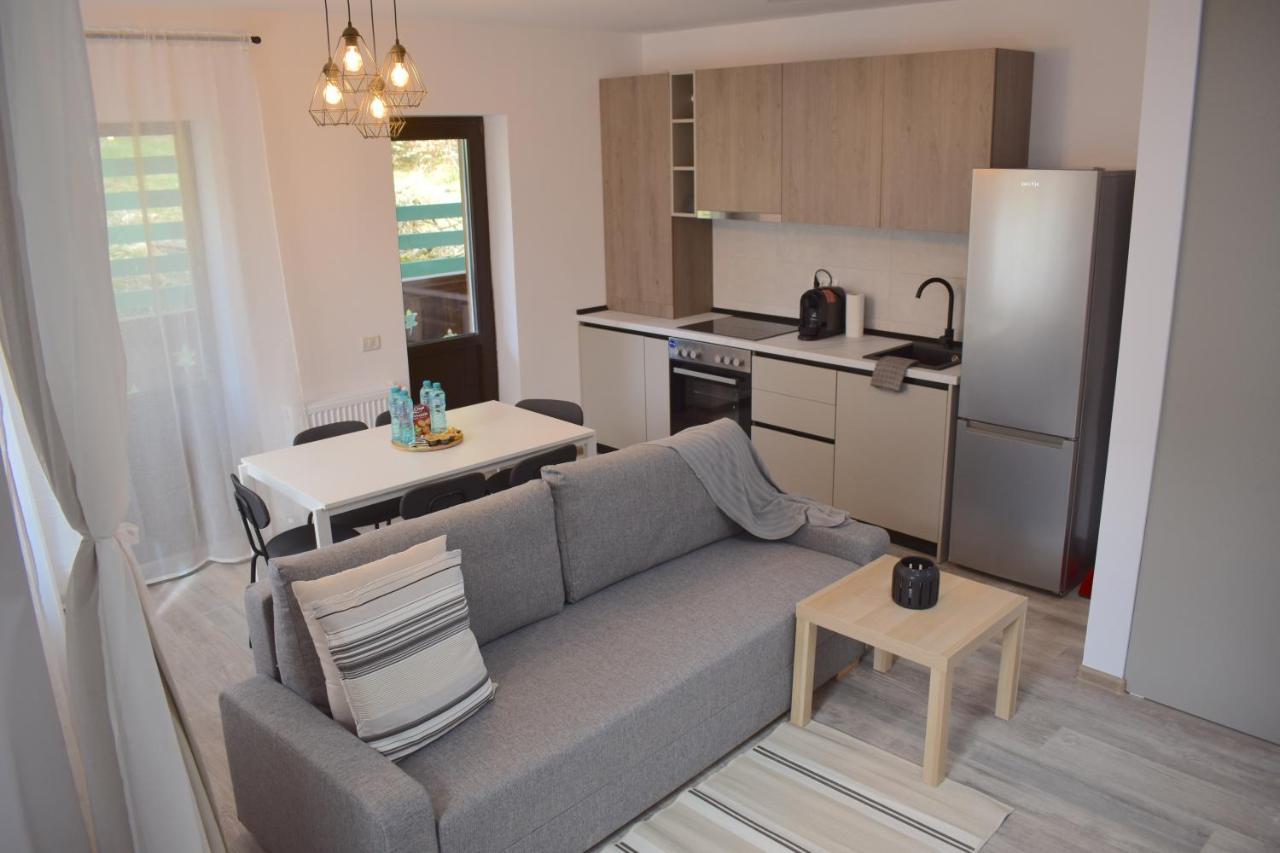 Cosy&minimalistic - Haret Building * Sinaia