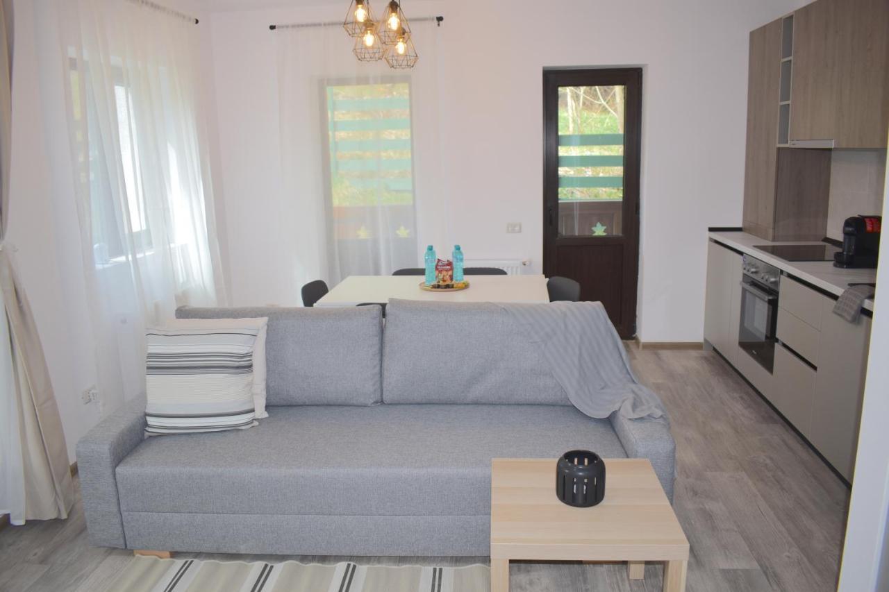 Cosy&minimalistic - Haret Building * Sinaia